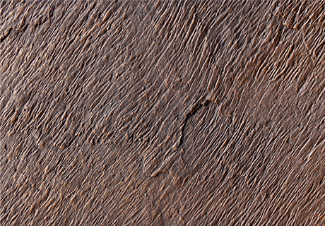 钱柜qg777(中国区)唯一官方网站